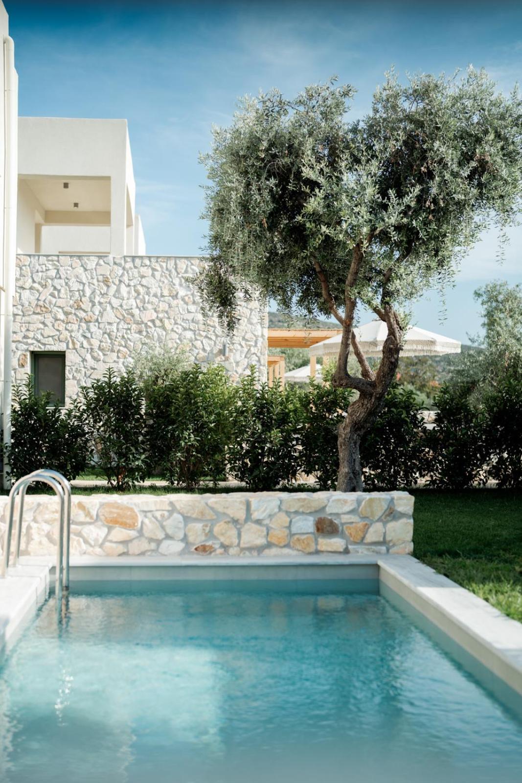 Magnolia Villas Potos Thassos Exteriör bild