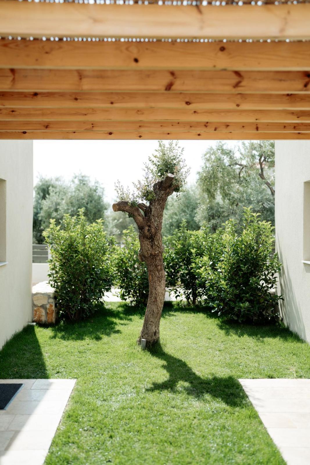 Magnolia Villas Potos Thassos Exteriör bild